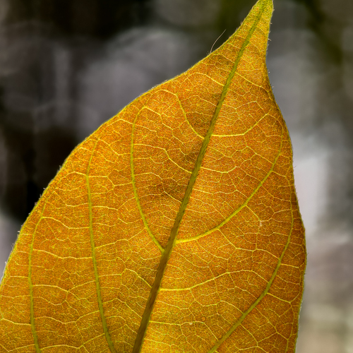 Photo #14088182
