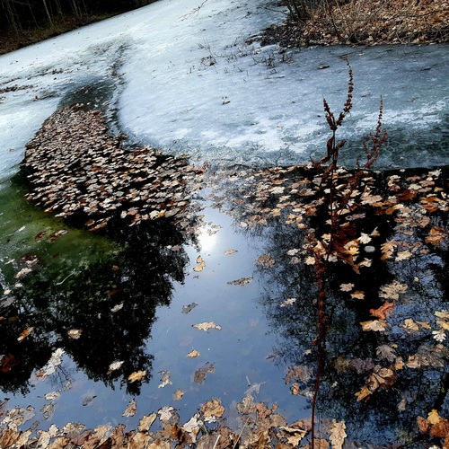 Photo #14088190
