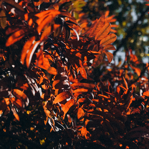 Photo #14088192