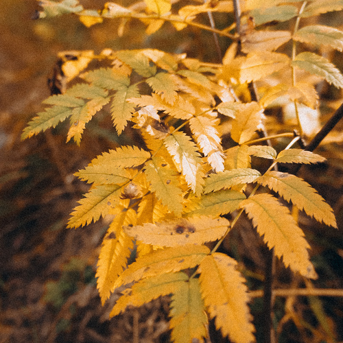 Photo #14088204
