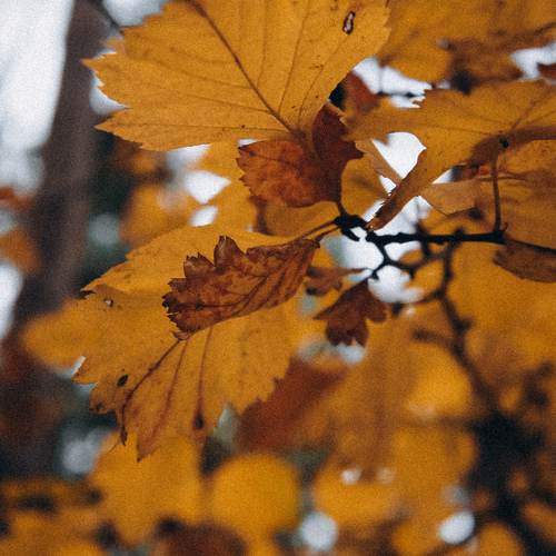 Photo #14088206
