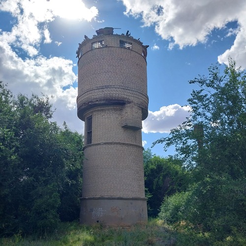 Photo #14088221