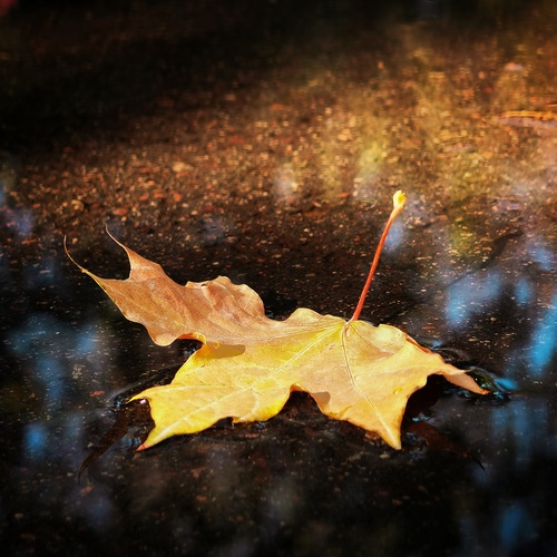 Photo #14088299