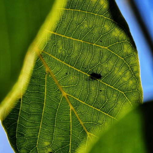 Photo #14088301