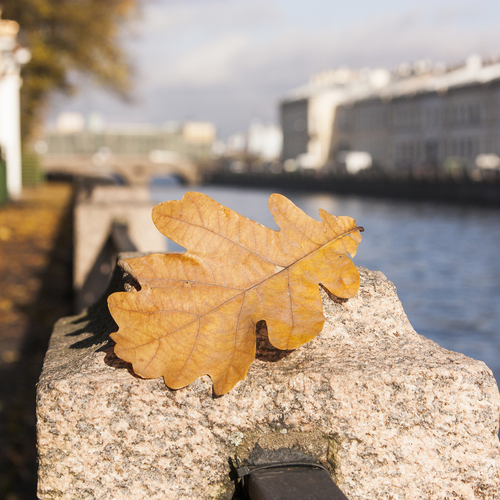 Photo #14088323