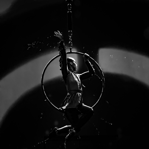 Photo #14088365