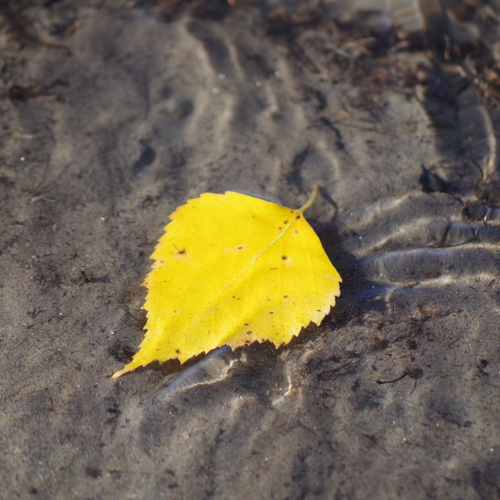 Photo #14088420