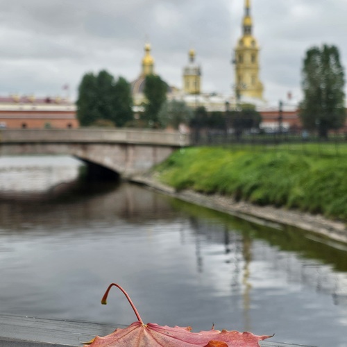 Photo #14088430