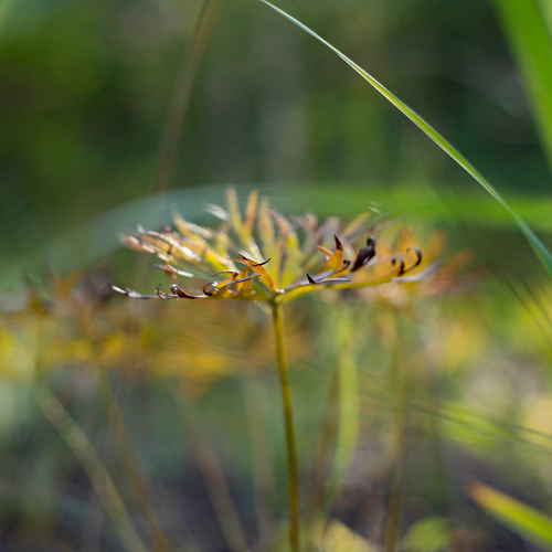 Photo #14088442