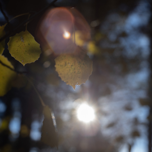 Photo #14088445