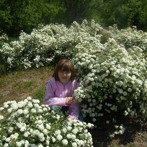Photo #14088484