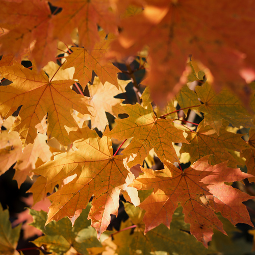 Photo #14088501