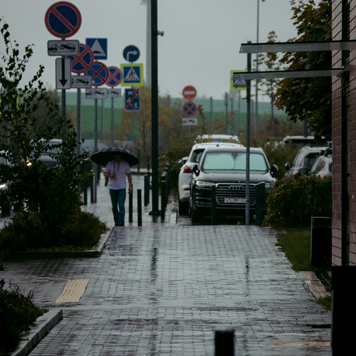 Photo #14088518