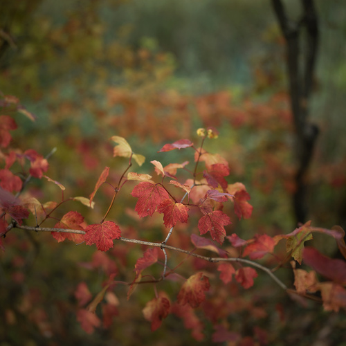 Photo #14088539