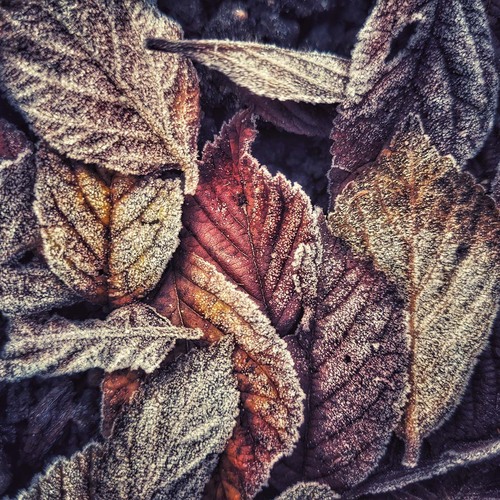 Photo #14088547