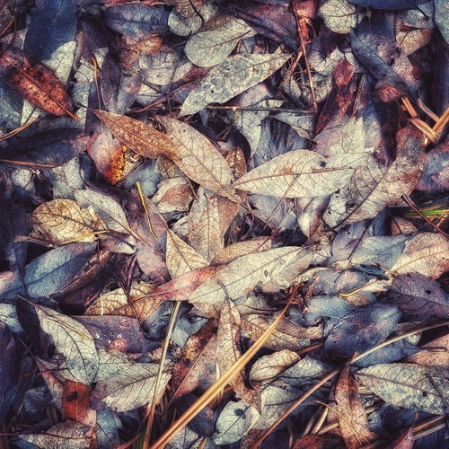 Photo #14088549