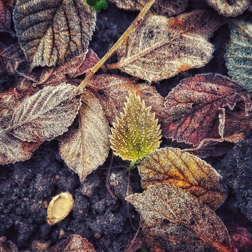 Photo #14088551