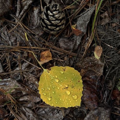 Photo #14088554