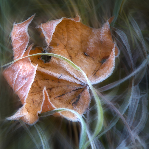 Photo #14088566