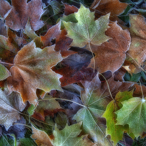 Photo #14088567