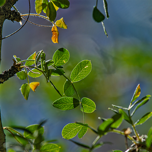 Photo #14088581