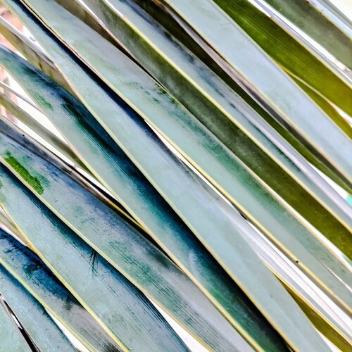 Photo #14088609
