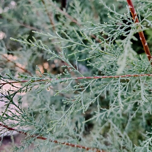 Photo #14088611