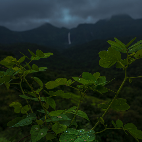 Photo #14088627