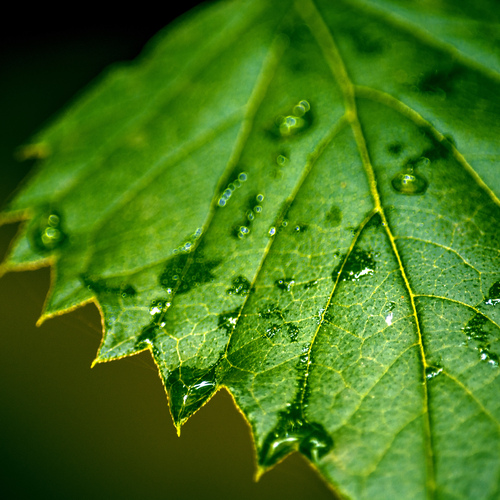 Photo #14088636