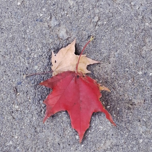 Photo #14088645