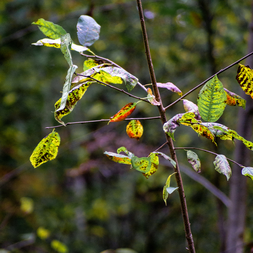 Photo #14088667