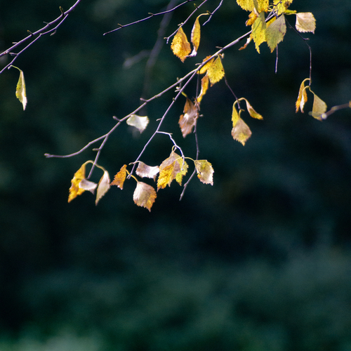 Photo #14088668