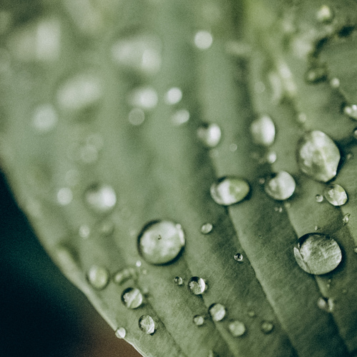 Photo #14088677