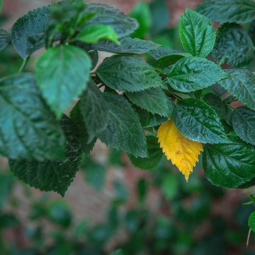 Photo #14088679