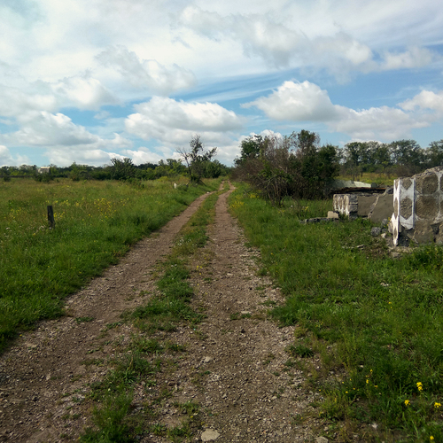 Photo #14088705