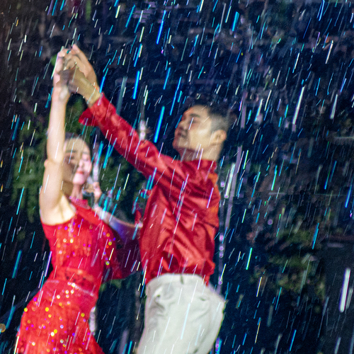 Photo #14088720
