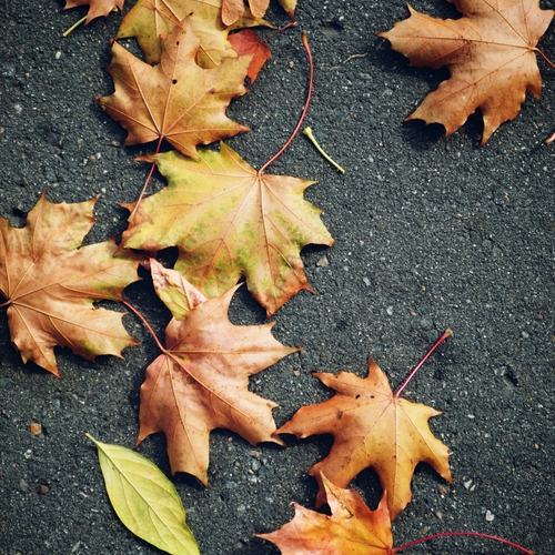 Photo #14088725