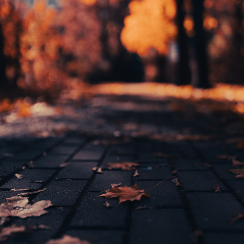 Photo #14088726