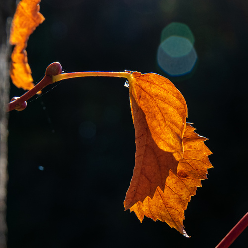 Photo #14088776