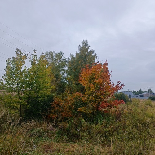 Photo #14088819