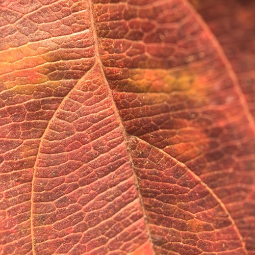 Photo #14088838