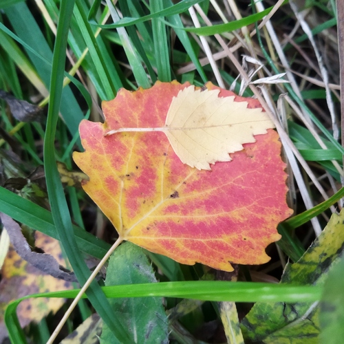 Photo #14088855