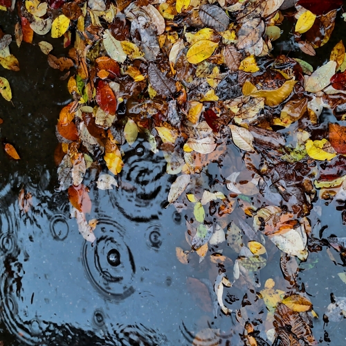 Photo #14088920