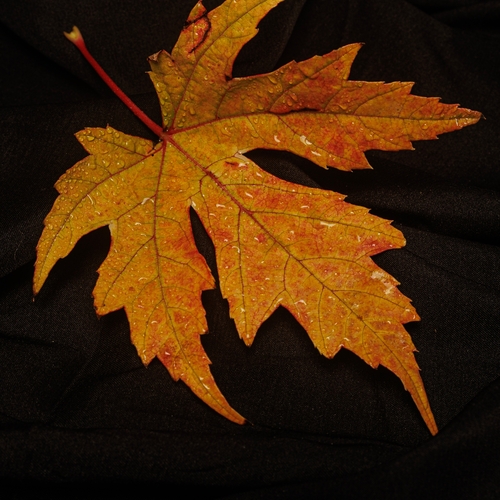 Photo #14088931
