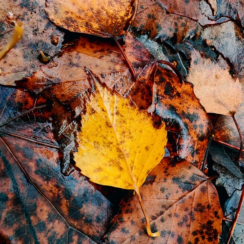 Photo #14088935
