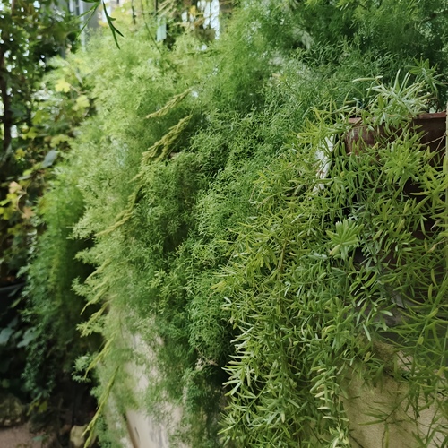 Photo #14088992