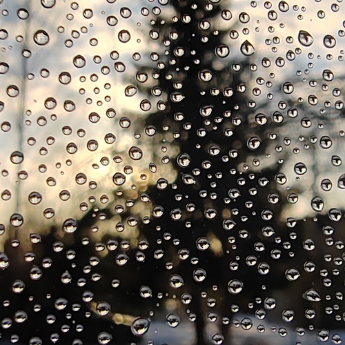 Photo #14088996