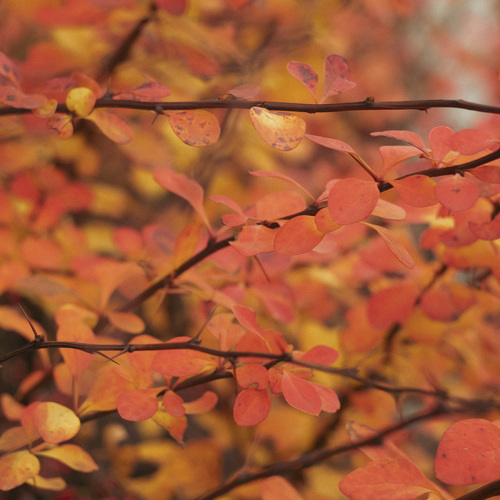 Photo #14089005