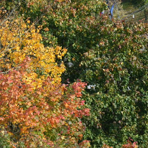 Photo #14089031