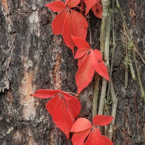 Photo #14089032